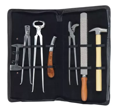 OEM Veterinary Hoof Trimming Tool Kit Complete Orthopedic Farrier Instruments Stainless Steel