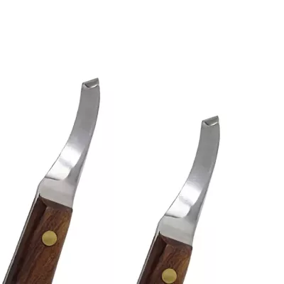 Right Handed Horse Hoof Knife Stainless Steel Trimming Tool for Farriers Veterinary Use