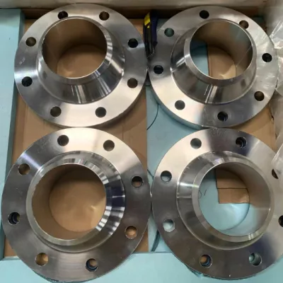 321 PN40 Raised Face Flange for Pharmaceutical Equipment