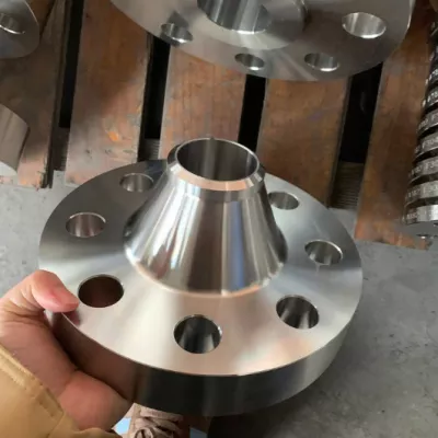 Custom 316L Raised Face Flange for Chemical Use