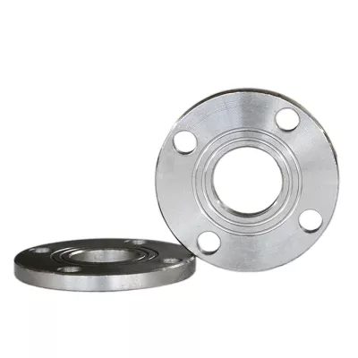 304 Stainless Steel Flat Welding Special-Shaped Precision Forged Flange Enquiry