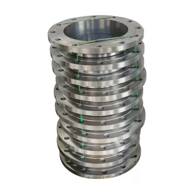 Stainless Steel Weld Neck Flange, ANSI B16.5 Class 300 Forged Enquiry