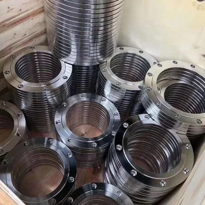 316L Raised Face Flange for Chemical Plants