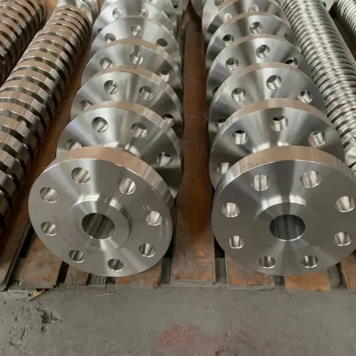 DN500 Lap Joint Flange with Loose Backing Ring