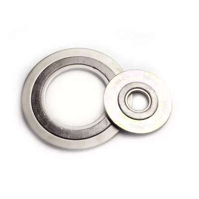 Custom Stainless Steel Flange Gasket for Valves