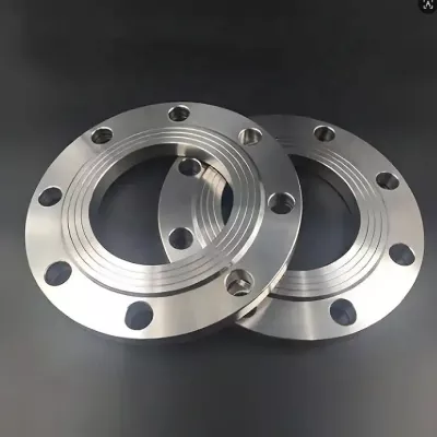 Duplex 2205 Slip-On Flange for Marine Use