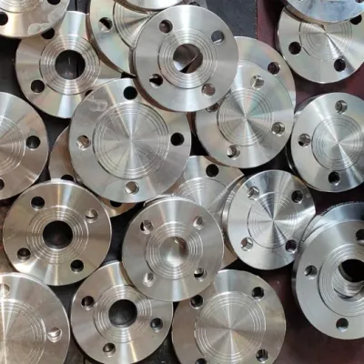 WPB Carbon Steel Blind Flange with Polished RF Face