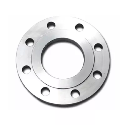 ASME B16.5 ASTM A105 Class 150 DN300 Carbon Steel Blind Flange Enquiry