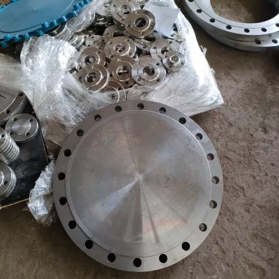 Sch5s B16.5 316 RF Blind Raised-Face Stainless Steel Flange, CNC Machined
