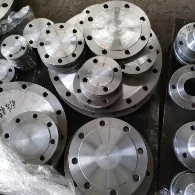 Forged Threaded Flange for Chemical Plant Piping