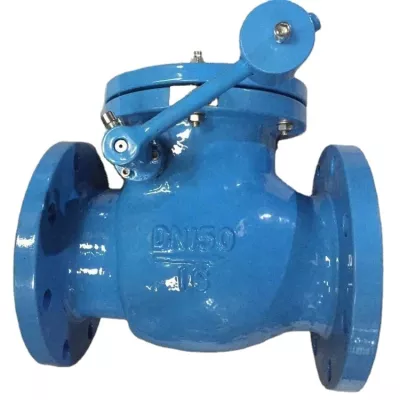 DIN Ductile Iron / WCB Soft-Seal Gate Valve Enquiry