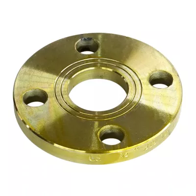 Stainless / Carbon Steel Forged Flange Enquiry | ASME Weld Neck / Plate