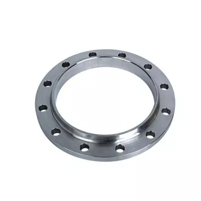 DIN PN16 Forged Stainless Weld-Neck Flange, 316L / ANSI B16.5 Enquiry