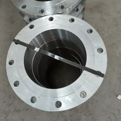 DIN PN16 Forged Stainless Steel Flanges, 316L Flat-Face Weld-Neck Enquiry