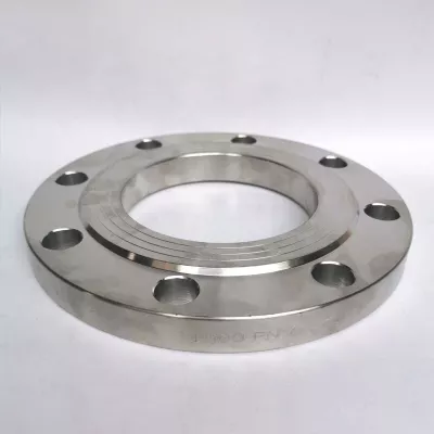 Stainless Steel Blind Flange for Offshore Oil Fields