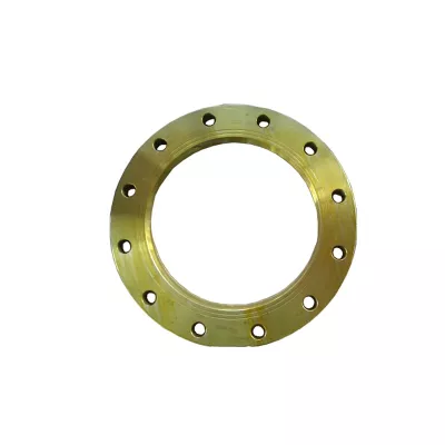 DN200 8-Inch PN10 Backing Ring Flange, Stainless Steel and S235JR Enquiry