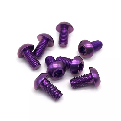 Fabricage Titanium M3m4m5m6 Bout Ss304 Ronde Knoopkop 5 Kwab Ster Machine Schroeven