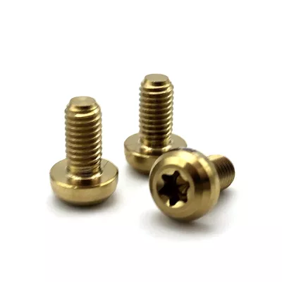 2024 Popular prototipo anodizado Pan Head tornillo Gr5 M5 M8 M10 M4 T15 Torx bicicleta Chicago tornillo titanio
