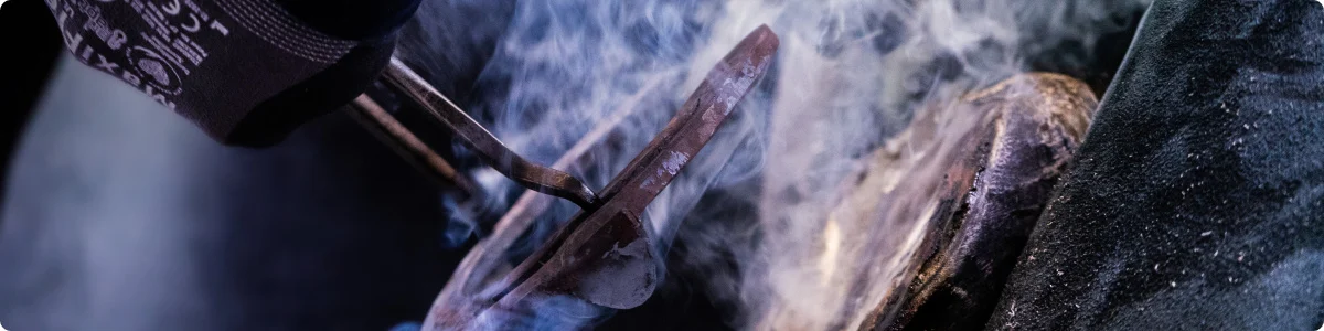 collection-banner-image