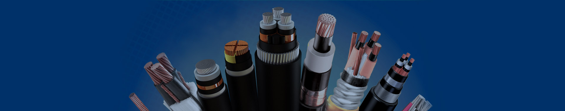 collection-banner-image