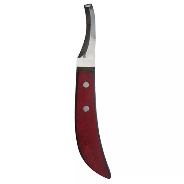 Sharp Stainless Steel Hoof Trimming Knife Right Handed Equine Veterinary Instrument