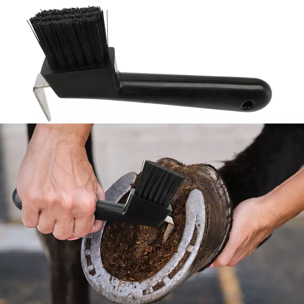 不锈钢马蹄清洁器带刷手动兽医工具
