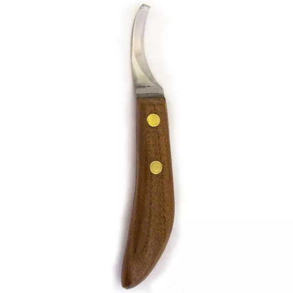 Sharp Stainless Steel Hoof Trimming Knife Right Handed Equine Veterinary Instrument