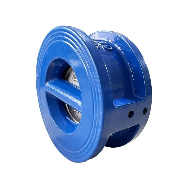 DN40~DN700 PN10 PN16 Ductile Cast Iron Double Disc One-way Dual Non Return Wafer Type Flap Check Valve