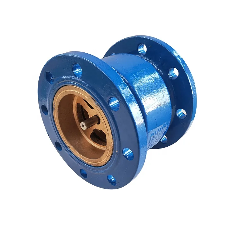 Water Treatment Flanged Ductile Iron Vertical Lift HC41X-16 Noise Elimination Silent Check Valve