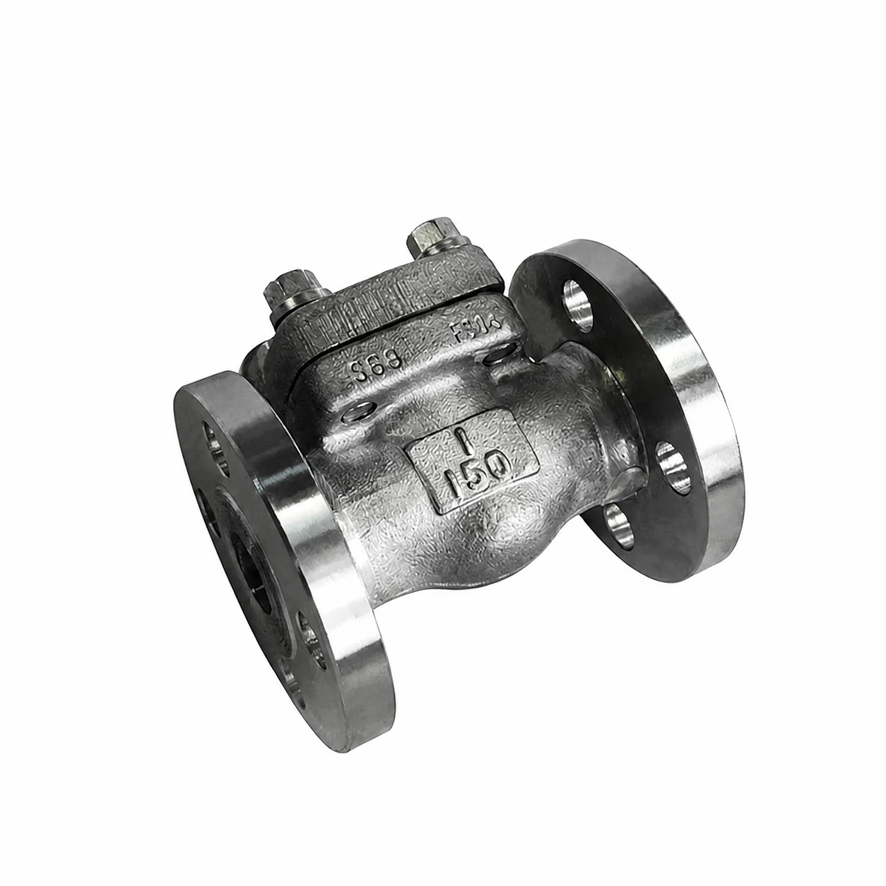 Stainless Steel Swing Type Check Valve