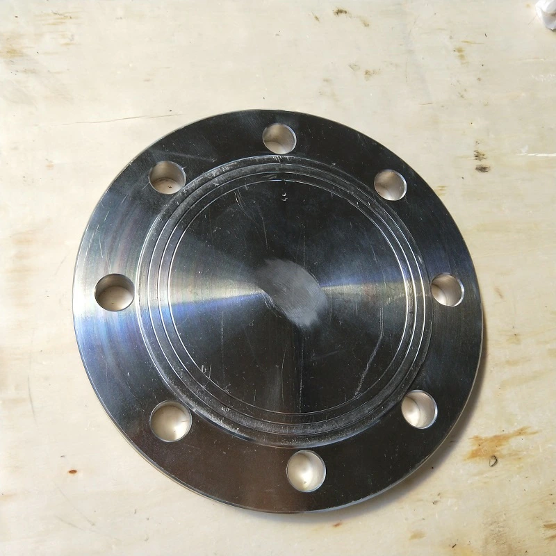 ISO 7005-1 Stainless Steel 304/316 Forged Blind Flange, DN600 Enquiry