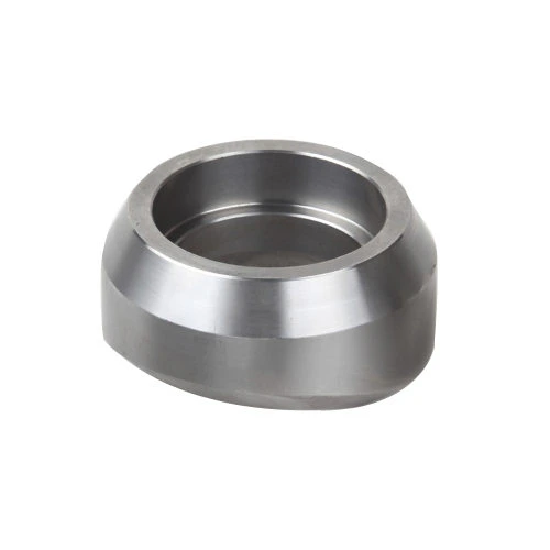 Carbon Steel Branch Fitting for Piping Enquiries