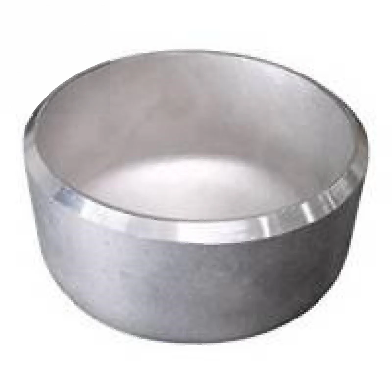 Stainless Steel 304/304L 316/316L Pipe Cap Enquiry
